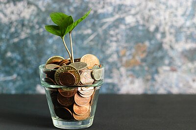 Ein mit Geld gefülltes Glas, aus welchem eine Pflanze wächst.