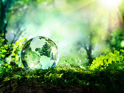 Glas globe lying in a green sunlit wood