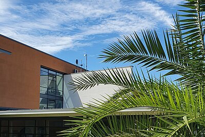 Campus Hof Ausgang Gebäude B mit Palme im Sommer