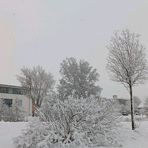 Let it snow! Our main campus today! 😍😍😍

Do you already have your sled with you?🛷

⛸️🧣🧤🧊🌬️❄️☃️

#Winter #Snow...